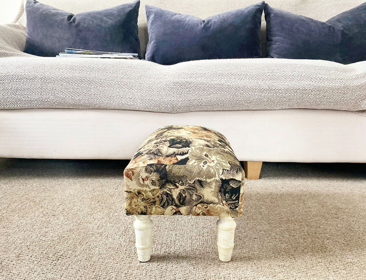 Cat Fabric Footstool with Drawer